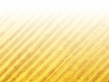 智能農(nóng)機(jī)、“訂單”服務(wù)、“云端”種菜——來自江西的春耕“新事”
